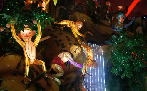 文化生活：2016上海豫园灯会12、