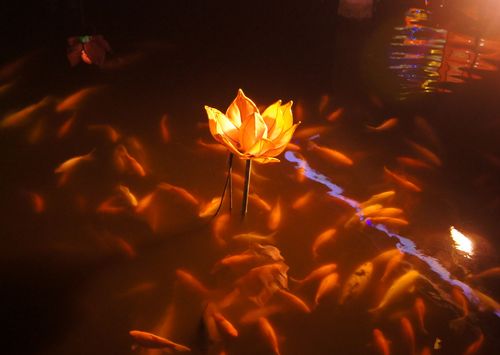 文化生活：2016上海豫园灯会43、