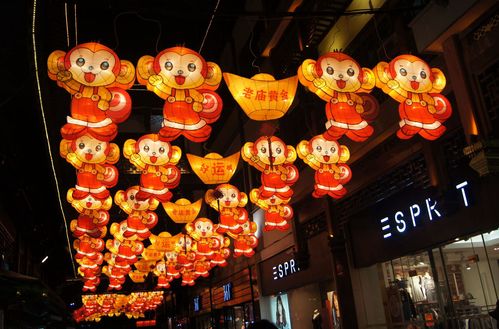 文化生活：2016上海豫园灯会54、