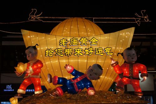 文化生活：2016上海豫园灯会58、