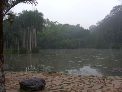 文化生活：中国科学院西双版纳热带植物园3、