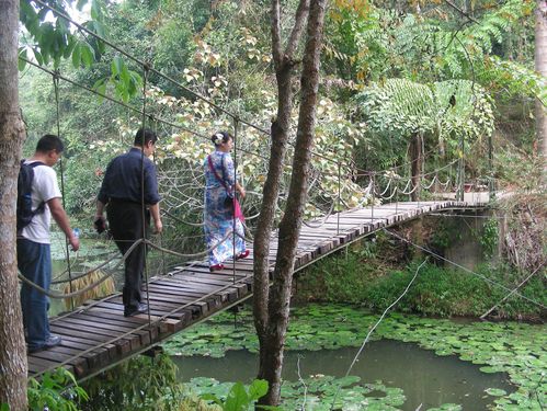 文化生活：中国科学院西双版纳热带植物园8、