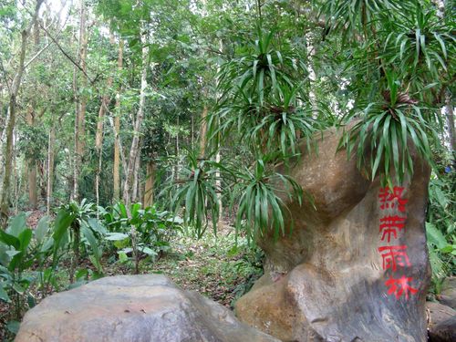 文化生活：中国科学院西双版纳热带植物园15、