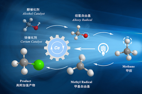上海科技大学物质科学与技术学院左智伟科研团队