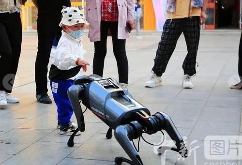 微信图片_20220502124258