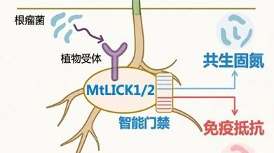 微信图片_20250508091956