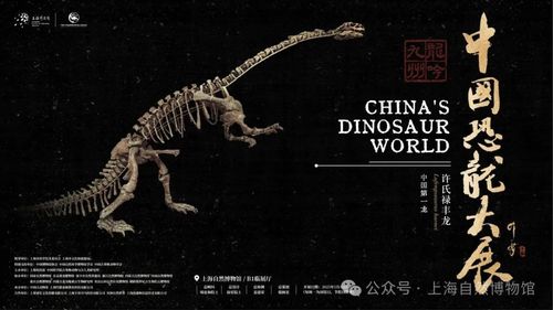 微信图片_20250527113248