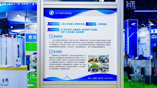 微信图片_20250612085822