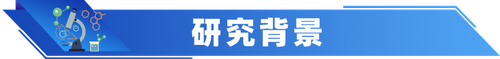 微信图片_20250626090525