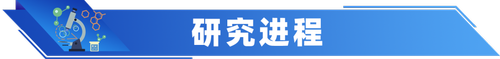 微信图片_20250626090529