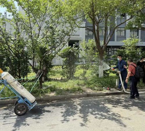 微信图片_20250728164153