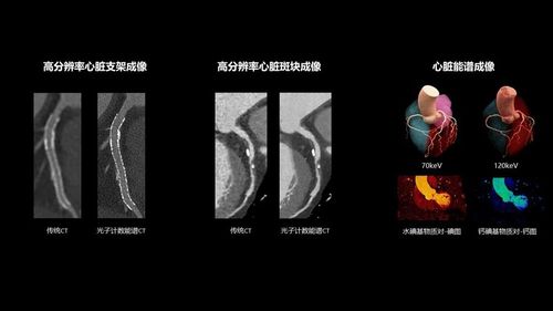 微信图片_20250902085215