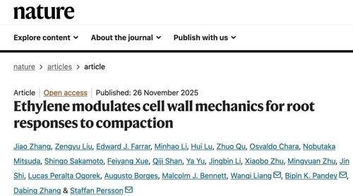 微信图片_20251128085031