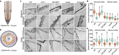 微信图片_20251128085039