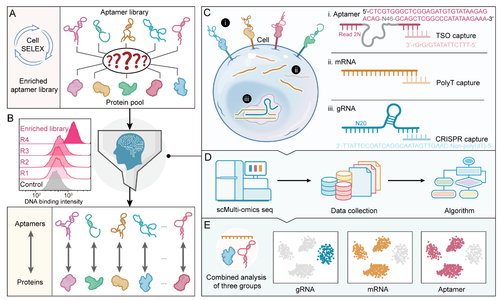 微信图片_20260105193624