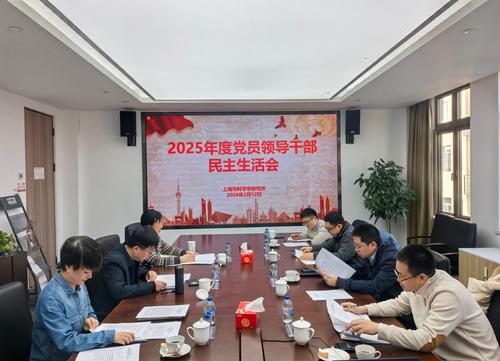 2025年民主生活会 2025年民主生活会