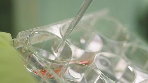 微信图片_20260410204326