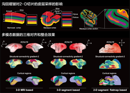 微信图片_20260420092241