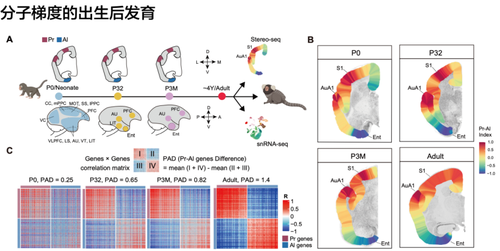 微信图片_20260420092248