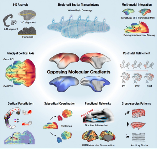 微信图片_20260420092251