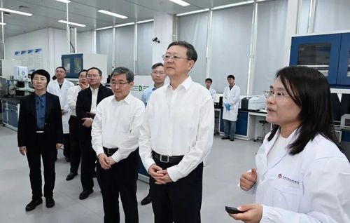 微信图片_20260512091050 微信图片_20260512091050