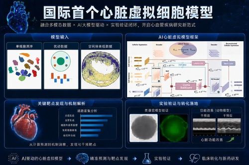 微信图片_20260722091534