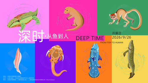 微信图片_20260929093024