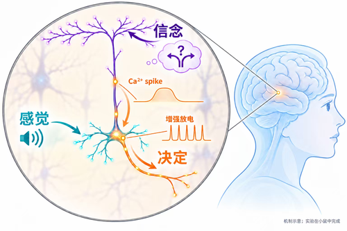 微信图片_20261016102412 微信图片_20261016102412