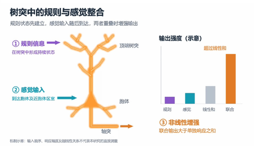 微信截图_20261016102602 微信截图_20261016102602
